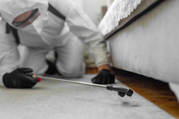 Professional Bed Bug Control technician working in Holtville, AL