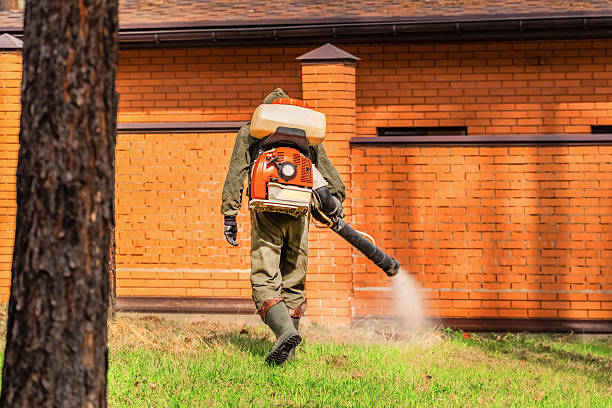 Trusted Termite Control service in Holtville, AL - Nex Pest Control